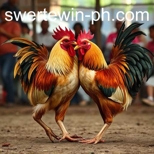 Cockfighting